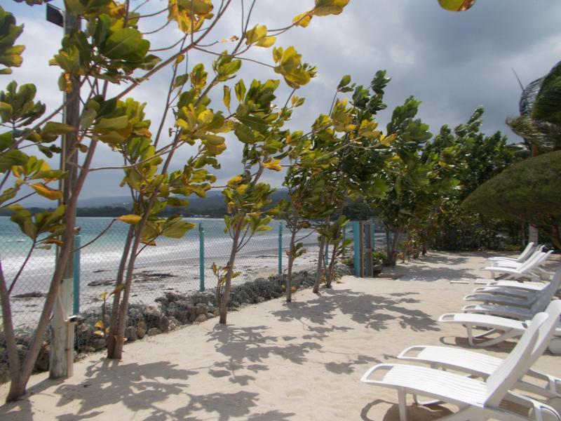 Ocho Rios Under The Palms Villa Kültér fotó