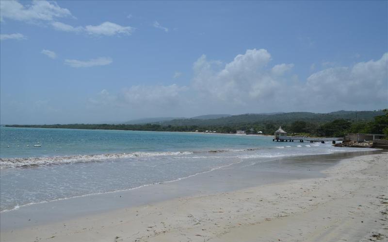 Ocho Rios Under The Palms Villa Kültér fotó